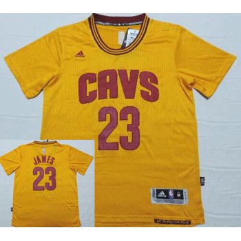 Men's Cleveland Cavaliers #23 LeBron James Revolution 30 Swingman 2014 New Yellow Short-Sleeved Jersey